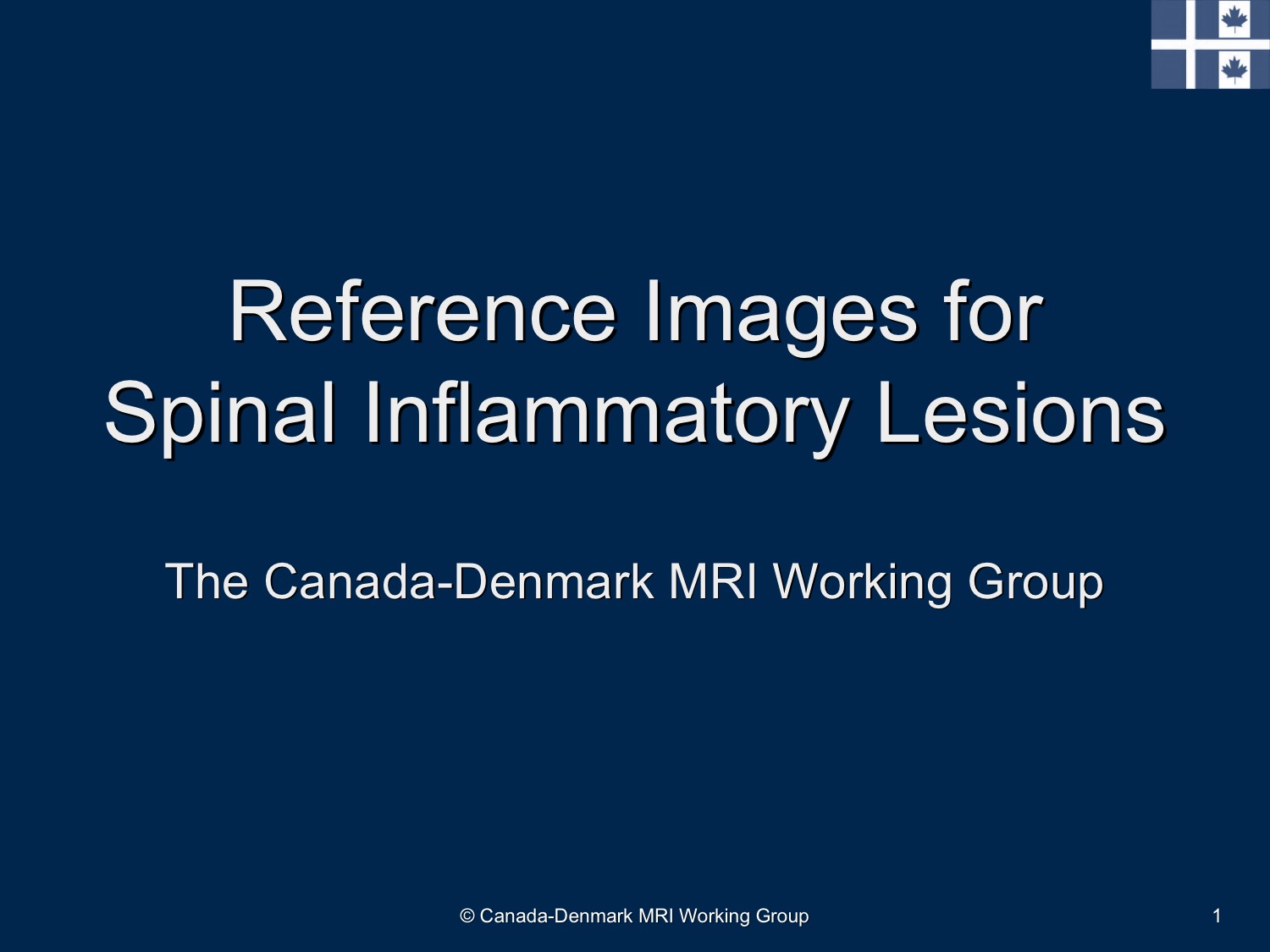 Reference Images for Spinal Inflammation Slide
