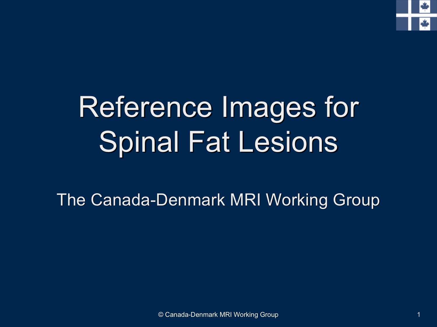 Reference Images for Spinal Fat Lesions Slide