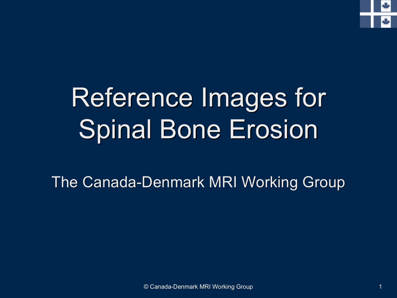 Reference Images for Spinal Bone Erosion Slide
